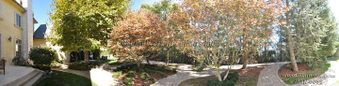 Enlarge photo 96