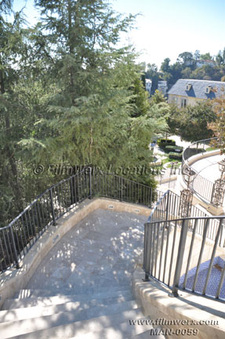 Enlarge photo 99