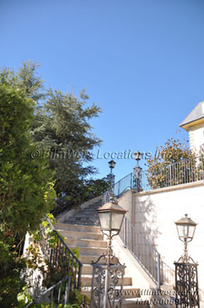 Enlarge photo 106