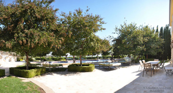 Enlarge photo 119