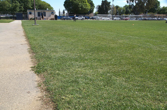 Enlarge photo 39