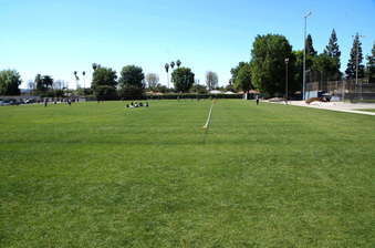 Enlarge photo 46