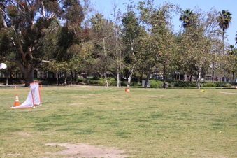 Enlarge photo 31
