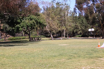 Enlarge photo 32