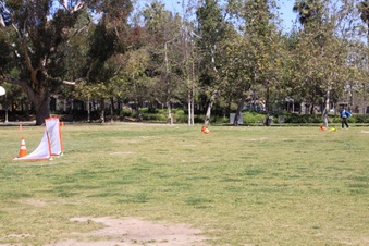 Enlarge photo 33