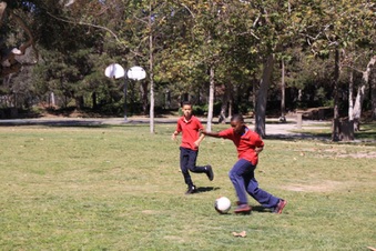 Enlarge photo 35