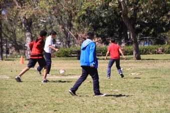 Enlarge photo 37