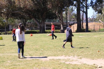 Enlarge photo 42