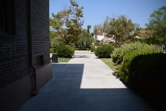 Enlarge photo 45