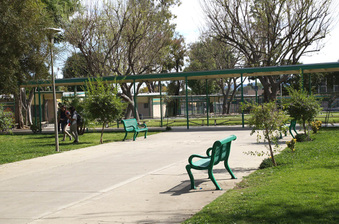 Enlarge photo 6