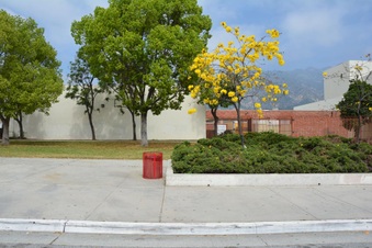 Enlarge photo 26