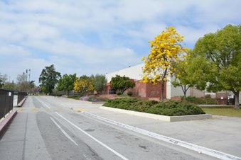 Enlarge photo 27