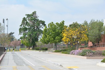 Enlarge photo 28