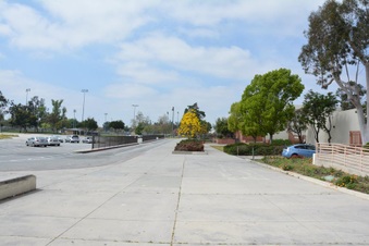 Enlarge photo 36