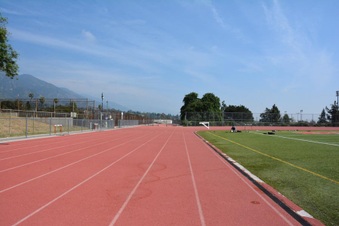Enlarge photo 122