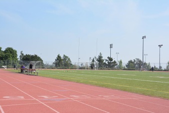Enlarge photo 129