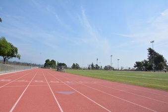 Enlarge photo 130