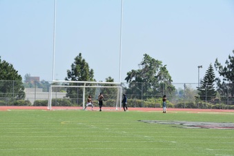 Enlarge photo 137