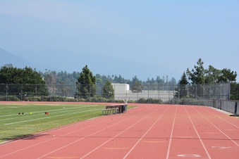 Enlarge photo 142