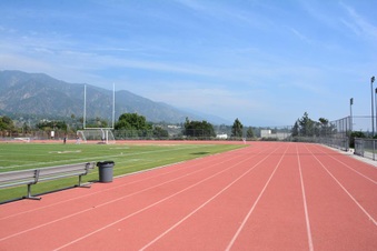 Enlarge photo 153