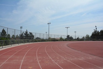 Enlarge photo 170