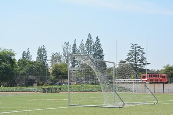 Enlarge photo 174