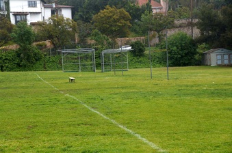 Enlarge photo 30