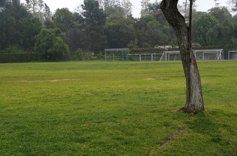 Enlarge photo 39