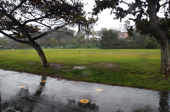 Enlarge photo 41