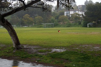 Enlarge photo 42