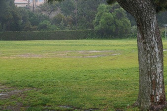 Enlarge photo 43