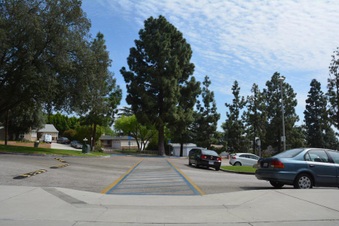 Enlarge photo 33