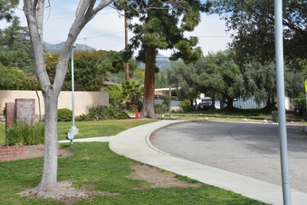 Enlarge photo 35