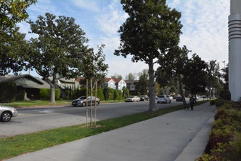 Enlarge photo 149