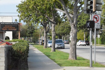 Enlarge photo 152