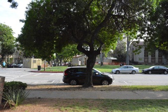 Enlarge photo 15