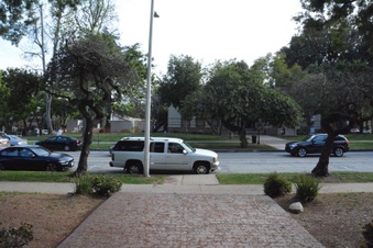 Enlarge photo 22