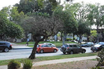 Enlarge photo 24