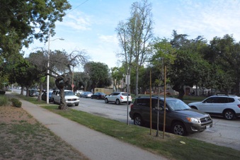 Enlarge photo 30