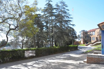 Enlarge photo 55