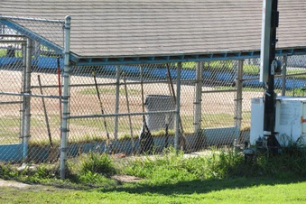 Enlarge photo 59