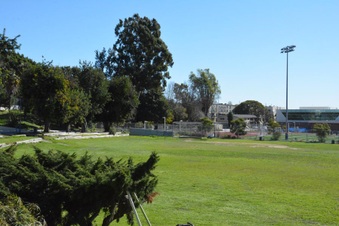 Enlarge photo 64