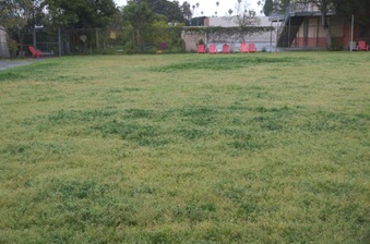 Enlarge photo 17