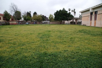 Enlarge photo 22