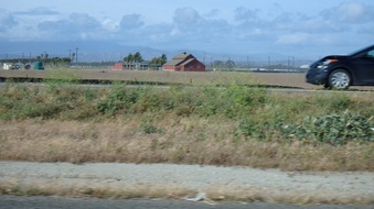 Enlarge photo 33