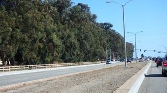 Enlarge photo 27