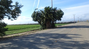 Enlarge photo 10