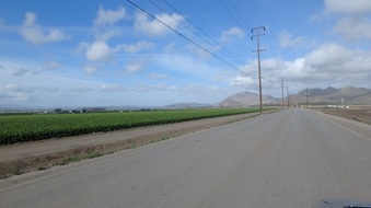 Laguna rd crops Camarillo
