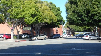 Enlarge photo 27