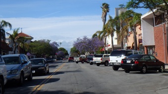 Enlarge photo 29
